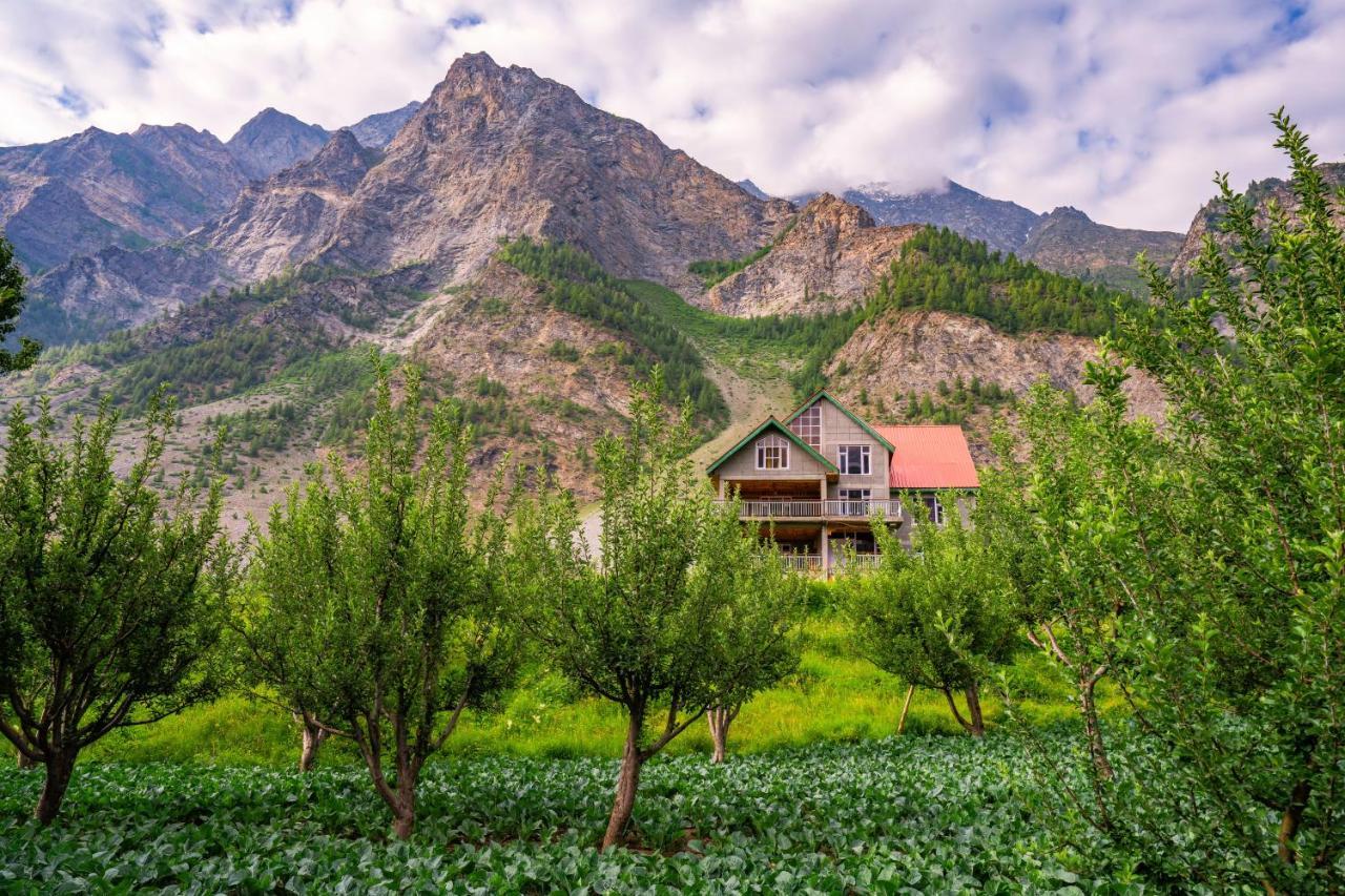 Zostel Homes Rashil Tandi 외부 사진