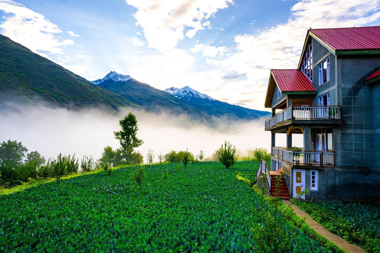 Zostel Homes Rashil Tandi 외부 사진